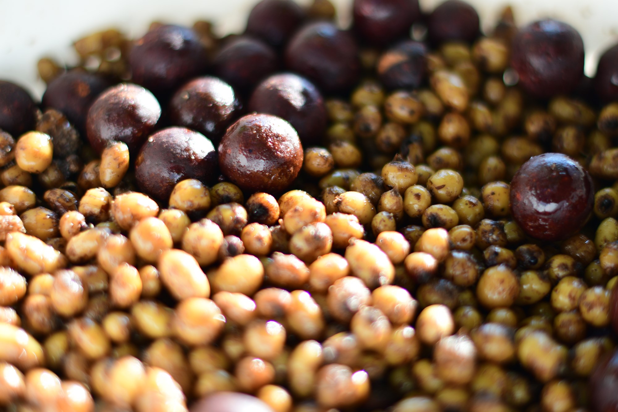 Tancabesti 5 august 2022 - DSC7760.jpg